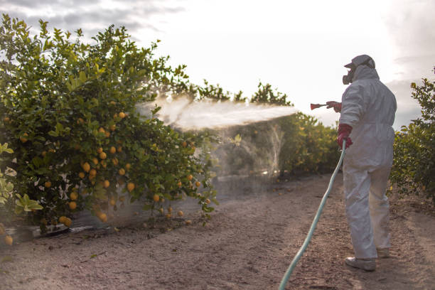 Best Pest Control Near Me  in Warren Park, IN