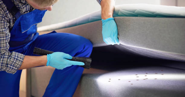 Best Affordable Pest Control Services  in Warren Park, IN