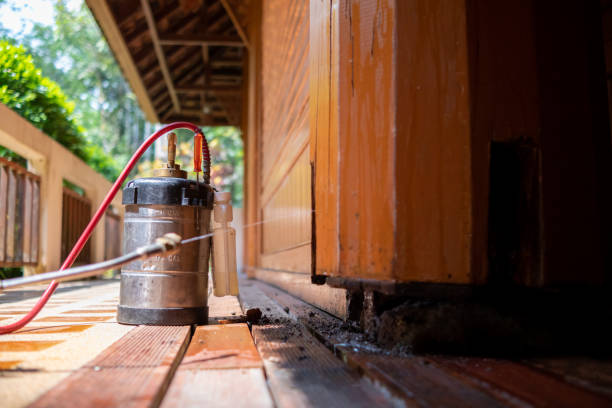 Best Affordable Pest Control Services  in Warren Park, IN